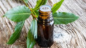 Laurier massage musculaire